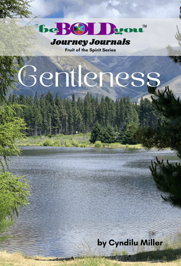 Book Cover for A Journey Journal Fruit of the Spirit Series GENTLENESS